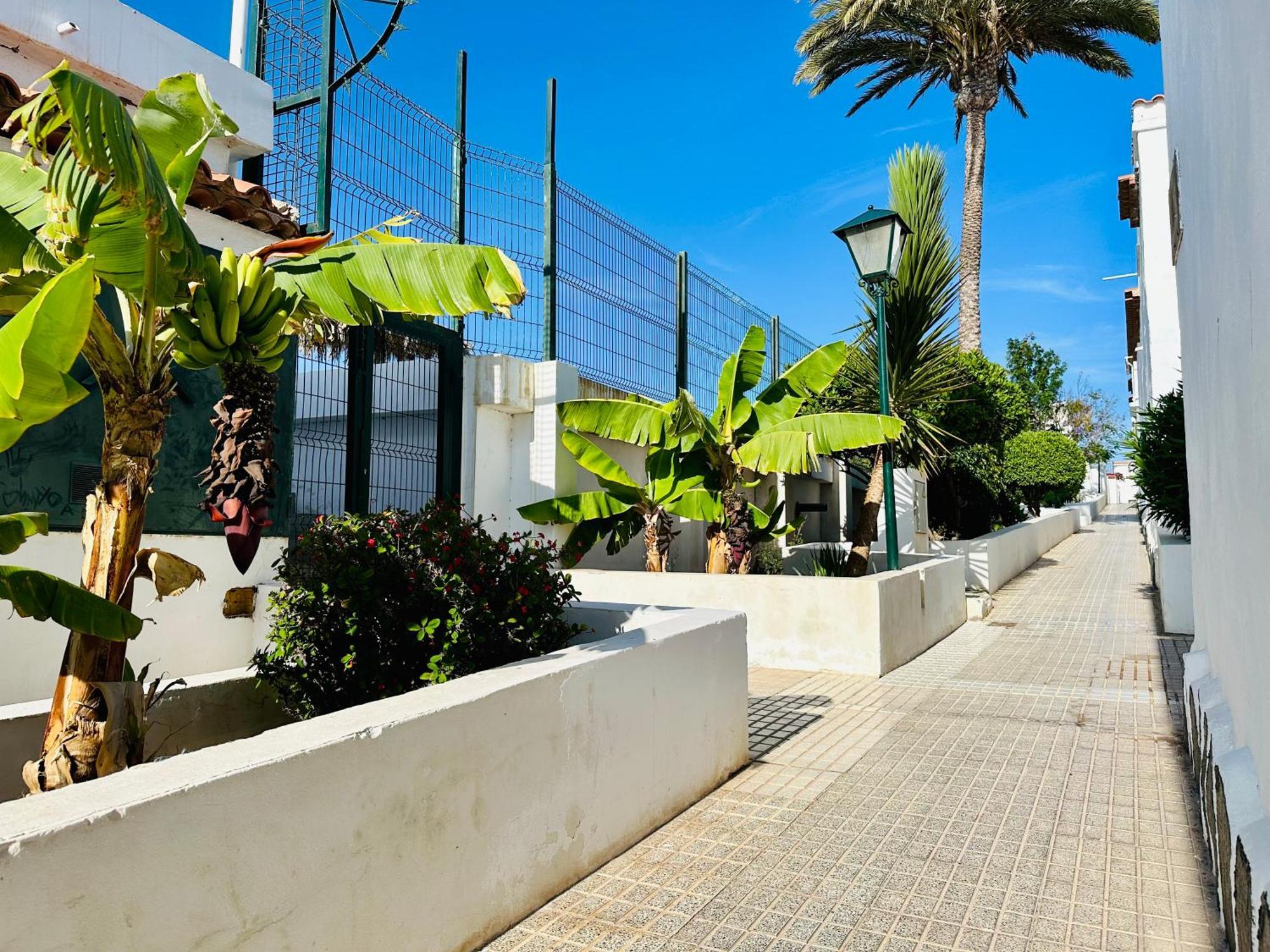 ארונה Quiet Apartment Chayofita מראה חיצוני תמונה